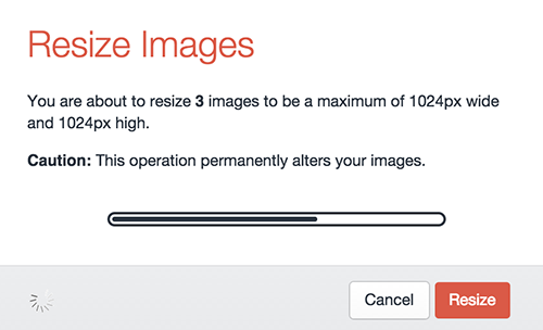 Resizeelementaction
